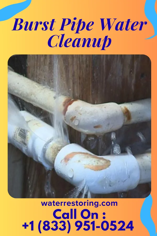 Burst Pipe Water Cleanup in Brunson, SC